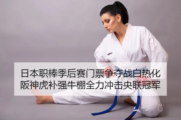 ri-ben-zhi-bang-ji-hou-sai-men-piao-zheng-duo-zhan-bai-re-hua-ban-shen-hu-bu-qiang-niu-peng-quan-li-chong-ji-yang-lian-2-593.jpg