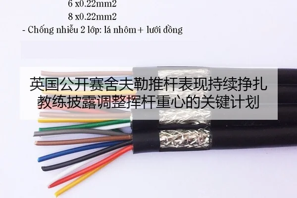 ying-guo-gong-kai-sai-she-fu-lei-tui-gan-biao-xian-chi-xu-zheng-zha-jiao-lian-pi-lu-tiao-zheng-hui-gan-zhong-xin-de-2-501.jpg